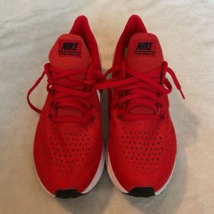 Nike Pegasus